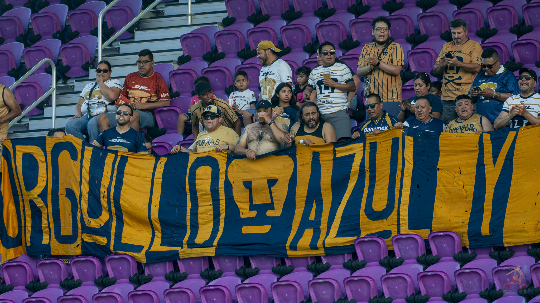 Lions Fall to Pumas in Penalty Heartbreak Despite Early Lead